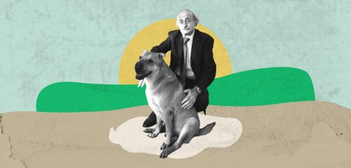 أوسكار... "كلب البك" الذي تصدّر الترند اللبناني متفوقاً على وزير الخارجية الأمريكي