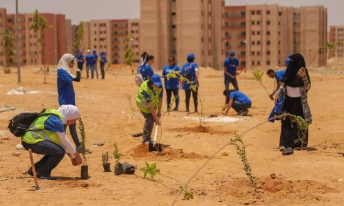 زرع أشجار في الشوارع وحماية الشواطئ من البلاستيك... مبادرات شبابية في مصر
