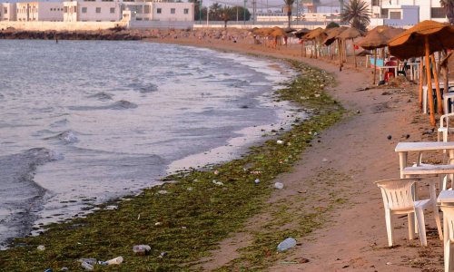 شواطئ المتوسط العربية... بحر ملوث غير صالح للسباحة وأسماك تقتات على النفايات