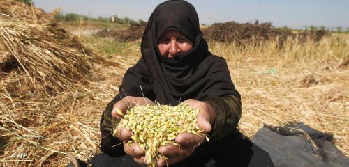 نساء يكسرن حاجز الخوف ويستصلحن أراضي حدودية في غزة
