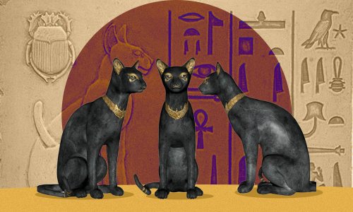 عيد القطط... هكذا احتفل قدماء المصريين بقدوم الشتاء