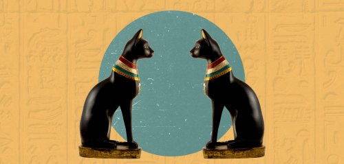 ذبح القطط ودفن ابن عرس حياً… خرافات مصرية عن الحيوانات
