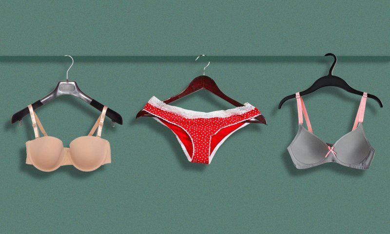 Women's Underwear Case Travel Bra Panty Lingerie Organizer (Mix