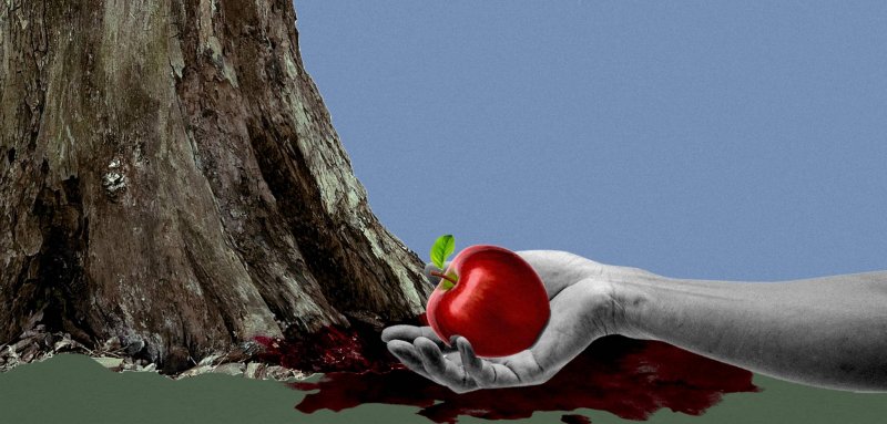 جبّور الدويهي يقتل بطله تحت شجرة التفاح
