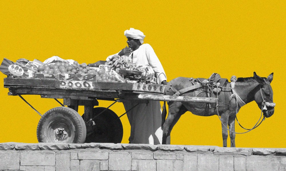 مصريات شمال “يعيشون بيننا ولا يهددون أمننا“... الباعة المتجولون الأجانب ومخاطر