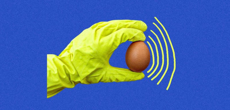 لإنتاج لقاح مضاد للإنفلونزا… واشنطن تجمع بيض الدجاج في مزارع سرية
