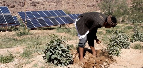 مزارعون يمنيون أنهكتهم المحروقات... فأنقذتهم الطاقة الشمسية