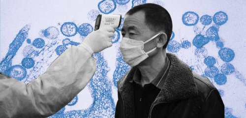 بعد كورونا... فيروس هانتا يظهر في الصين ويقتل رجلاً