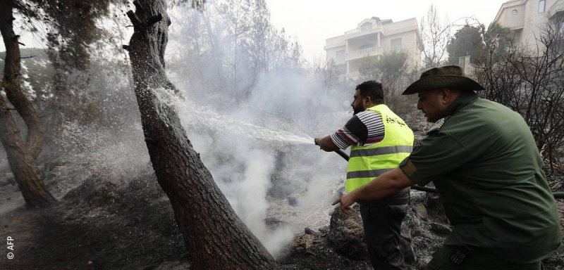 "السلطات لم تتعلم الدرس"... لبنان يحترق من جديد، ماذا أنتم فاعلون؟