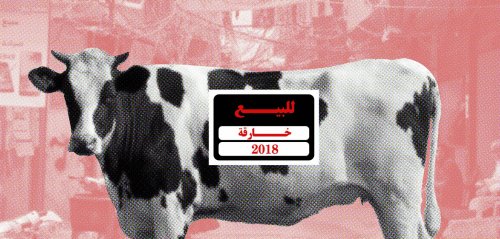 "سعر البقرة مثل سعر السيارة"... تأثير الغلاء على مؤونة شتاء المخيمات الفلسطينية في لبنان