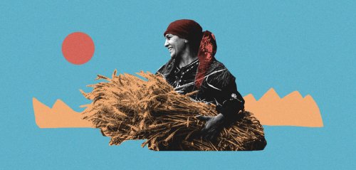 "الفراولة للبنات والقمح للرجالة"... حكايات عاملات بجني المحاصيل في مصر