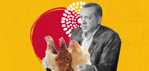 دبلوماسية الدجاج... من بوش الأب إلى أردوغان