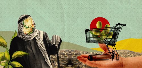 سرقة الزيتون الرومي والتجارة به... هذه المرّة بأيادٍ فلسطينية