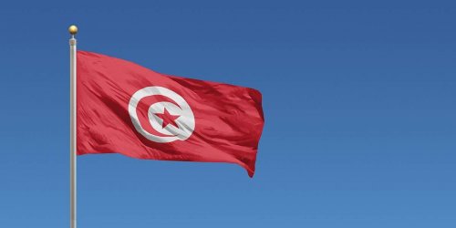 الثقافة والغناء وتعبيد الطغيان... مناشدات المثقفين لبناء الديكتاتورية في تونس