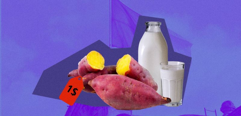 كيس الحليب والبطاطا يفسدان حملة الوعود الانتخابية في الجزائر