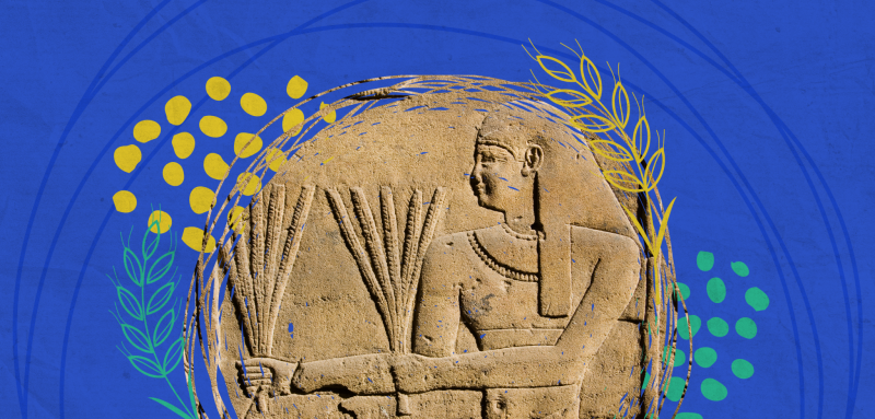 تاريخ الجوع والثورات… رحلة مصر من 