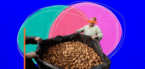 "أكلة الغلابة" في خطر... البطاطس في مصر تواجه التغيّر المناخي وارتفاع تكاليف الزراعة