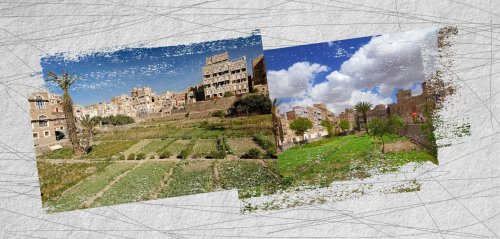 اختفاء المساحات الخضراء من صنعاء القديمة... بفعل البشر أم بفعل المناخ؟