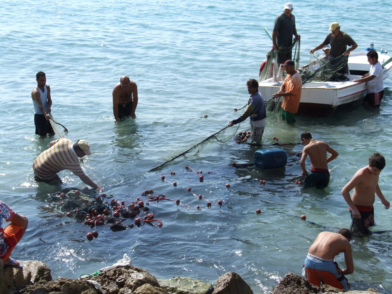 Loads extra fish within the sea? The catastrophic repercussions of unlawful fishing in Lebanon