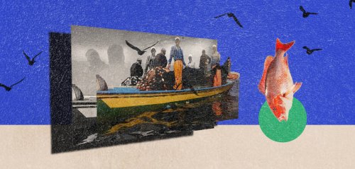 ماذا يطرح البحر في غزّة؟… "حواديت" ريهاف البطنيجي