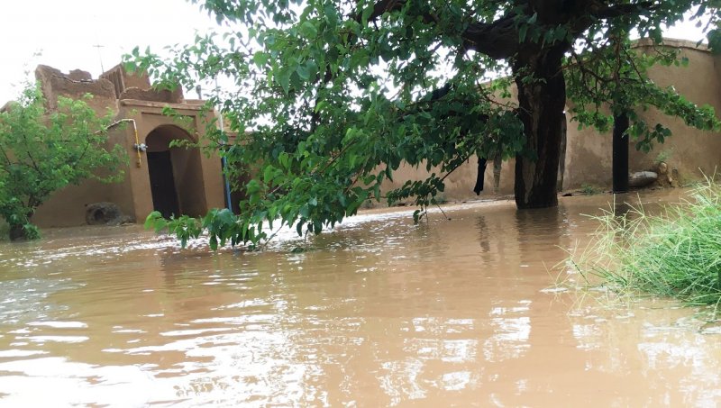 "تهدد أبجديات الحياة"... السودان تحت وطأة التغيرات المناخية