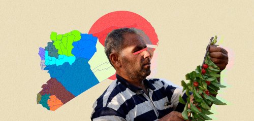 كرز جبل الزاوية والذاكرة... رحلة مصوّرة مع الأحمر القاني وعيون الفلاحين