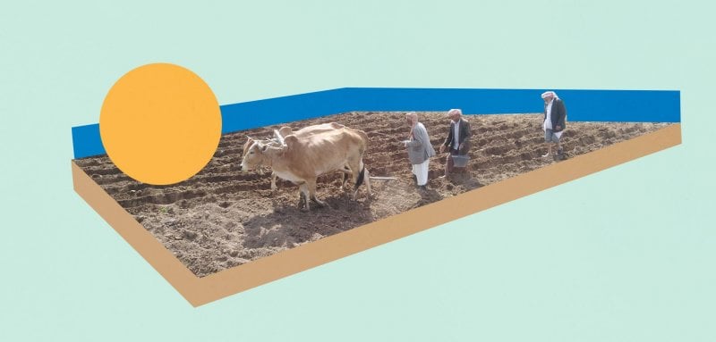 بخلطات صديقة للبيئة... كيف يتغلب مزارعو اليمن على ارتفاع أسعار الأسمدة؟
