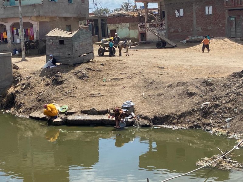 "نشرب ماء ملوثاً بالمخلفات"... مصريات يعملن بالفلاحة مقابل جرن مياه نظيفة