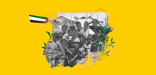 ما حقيقة الدور "الإماراتي" في الحرب السودانية؟
