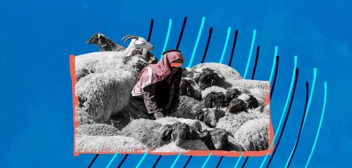 طرق الموت في البادية السورية... البحث عن المراعي بين الألغام والميليشيات الإيرانية