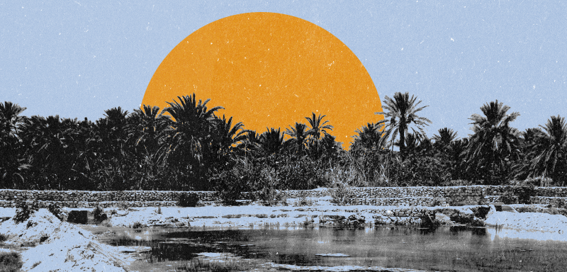 التغيرات المناخية... واحات تونس تكافح من أجل البقاء