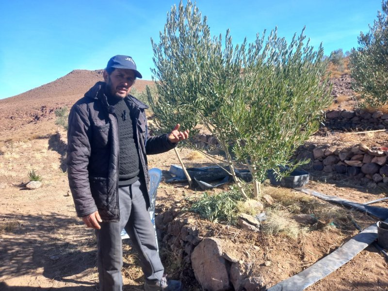  "الجفاف غيّر كل شيء"... رحلة مع مزارعي الزعفران جنوب المغرب