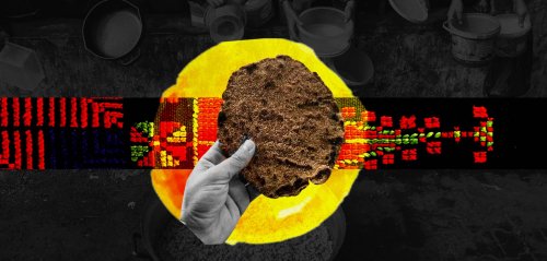 "منعمل خبز من أكل البهايم، طعمه مقرف"... عن شمال غزّة الجائع