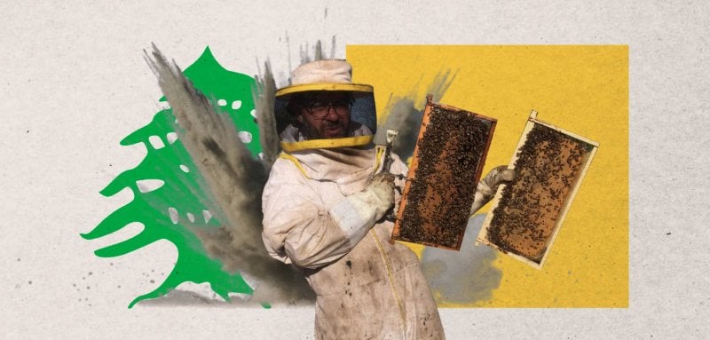 النحل في لبنان ضحية الآلة الحربية الإسرائيلية والمسيّرات الفتاكة