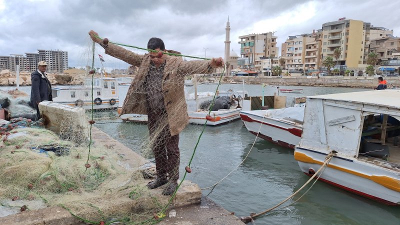 أسماك "مهاجرة" في السواحل السوريّة... فرص اقتصاديّة وتحدّيات بيئيّة