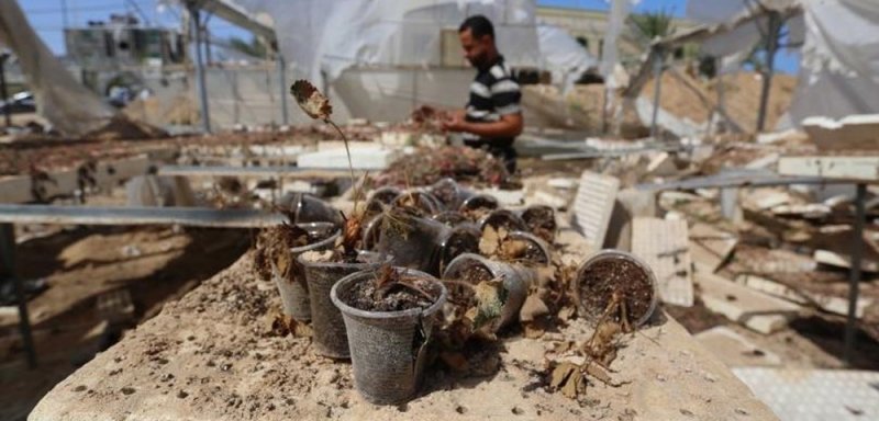 "شقا عمري تحوّل لخراب"... حرب غزّة تدمّر الزراعة أيضاً