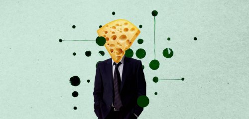 How cowardice is corrupting politics