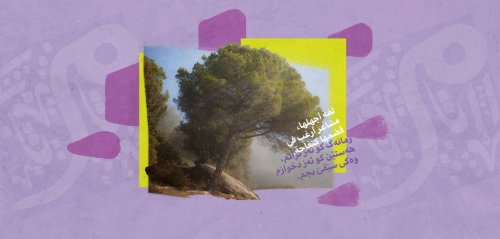 لغة غريبة ومشاعر شهية كتفاحة
