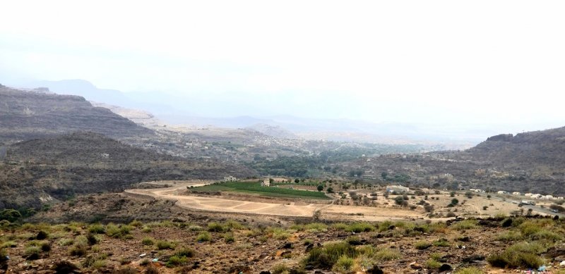 "تراجع في الكمية والنوعية"... التغيرات المناخية تهدّد إنتاج المانجو اليمني