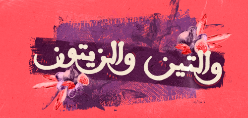"والتّين والزّيتون"… لماذا هما شجرتان مباركتان؟