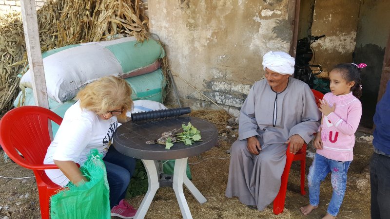 مزرعة الحجاج... تجربة زراعية لمواجهة تحديات المناخ في واحة سيوة 