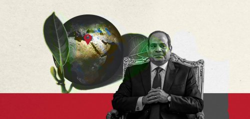 Ten years in power: How has Egypt’s environmental and climate governance fared in Sisi's Egypt? (1)