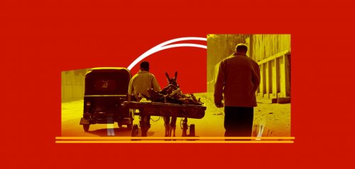 17 شارع الجامعة العربية