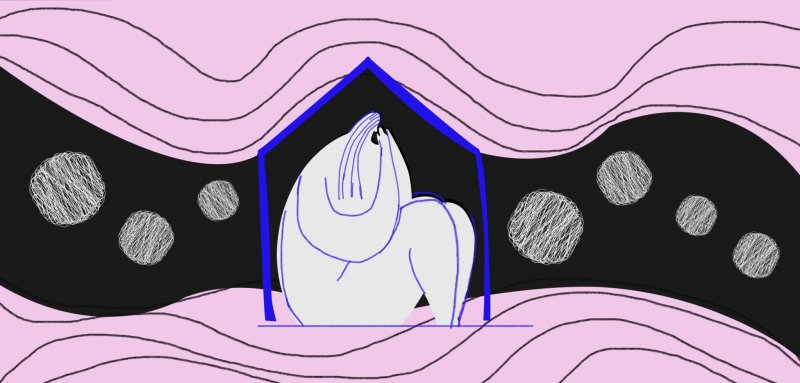 آن للعصفور أن يخرج من القفص
