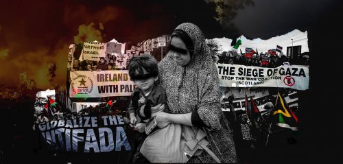 Why do non-Arab countries support the Palestinian cause?