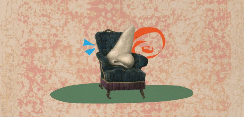 لغة الروائح... هل يمكن أن تكون العلاج الخفي للاكتئاب؟