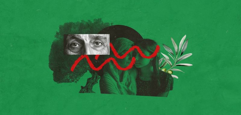 عناق أخير لأمي، وجدّي ما زال شاهداً على الإبادة بين شجر الزيتون