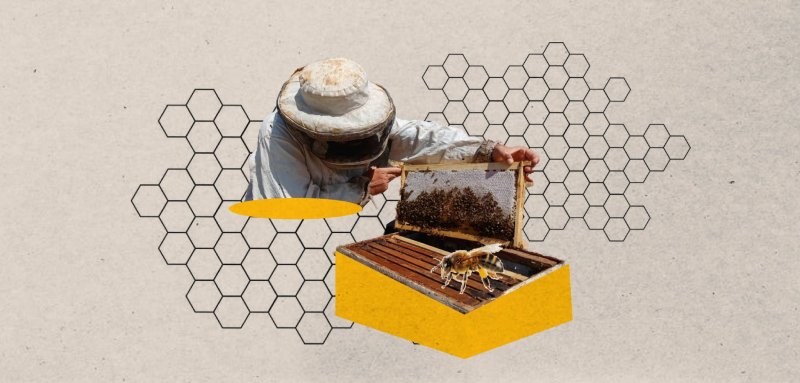 تربية النحل في إدلب... ضيق المراعي وتغيّر المناخ وراء تراجع الإنتاج