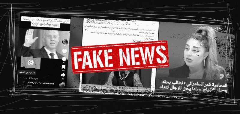 وزير مصري يسبّ الشيعة ومطالبة عراقية بتعدد الأزواج… معلومات مضللة راجت عربيّاً في أسبوع