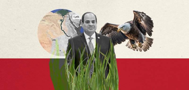 Ten years in power: How has Egypt’s environmental and climate governance fared in Sisi's Egypt? (2)